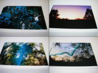 NAOYA YOSHIOKAWA　Photographs