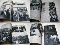 ゆるせない日からの記録 : 民主々義を守る斗いの30日 写真集