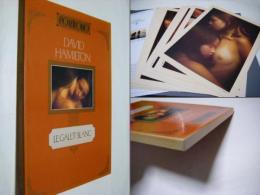 PORTFOLIO　LE GALET BLANC