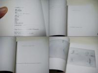 中西夏之展 : 正面の絵緩やかにひらかれゆくとき 図録
