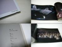 新月 = New moon : 堀田真悠写真集