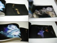 新月 = New moon : 堀田真悠写真集