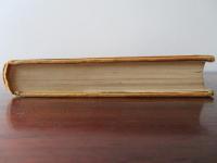 斜めから見る　大衆文化を通してラカン理論へ