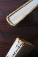 斜めから見る　大衆文化を通してラカン理論へ