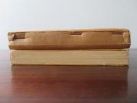 巨鯨の腹の中で