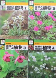検索入門　高原と高山の植物　全4冊揃