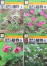 検索入門　高原と高山の植物　全4冊揃