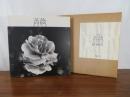 写真集　薔薇　