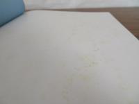 日本料理　四季のおもてなし