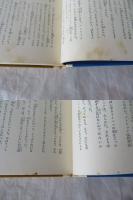 人工頭脳の怪　ノバ爆発の恐怖　少年少女世界推理文学全集 19