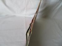 ウルトラ戦士　100のひみつ　テレビランドカラーグラフ・スペシャル17