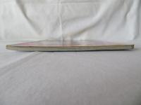 ウルトラマンティガ　ひみつ大図鑑　テレビマガジングレート百科84