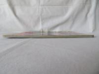 ウルトラマンティガ　ひみつ大図鑑　テレビマガジングレート百科84