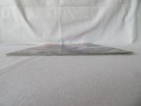 ゴジラ 100のひみつ　テレビランドカラーグラフ・スペシャル21