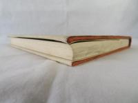 巣鴨若妻殺し　昭和戦前の最難事件