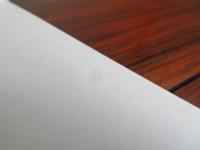 明治四十三年京都　ある商家の若妻の日記