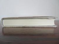 ペシミスティック・サイボーグ　普遍言語機械への欲望