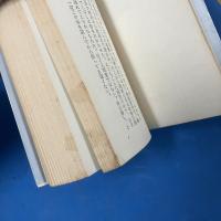 流れる星は生きている 愛と真実の記録②