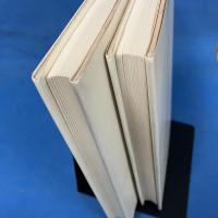 世界の投機市場 その仕組みと動かす力 上下セット 揃い