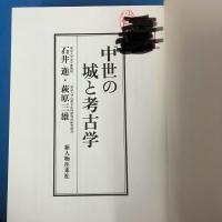 【除籍本】　中世の城と考古学