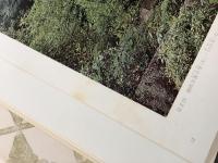 古寺巡礼 全5巻揃 限定2000部   