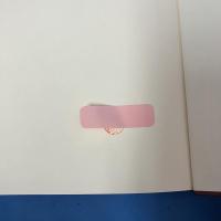 監査報告書論 ドイツ法定監査を主題として