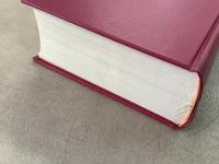 【除籍本】復刻版 日本立法資料全集 別巻196 少年懲戒教育史    