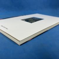 甲斐 善光寺 (山梨歴史美術シリーズ3)