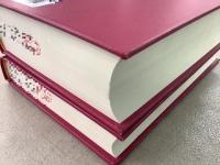 【除籍本】復刻版 日本立法資料全集 別巻175 176 刑事問題答案 刑法釈義 2冊セット