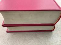 【除籍本】復刻版 日本立法資料全集 別巻175 176 刑事問題答案 刑法釈義 2冊セット