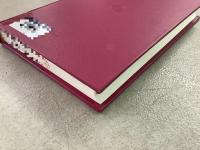 【除籍本】復刻版 日本立法資料全集 別巻 474 近世民法汎論 全