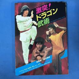 激突！ ドラゴン武術 (デラックスカラーシネアルバム15)