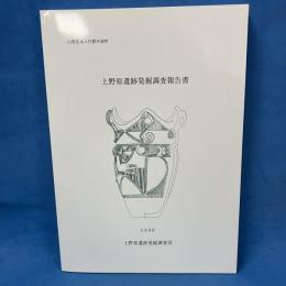 山梨県東八代郡中道町 上野原遺跡発掘調査報告書
