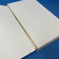 齊白石印影 A Collection of Qi Baishi's Seal Impressions (中国語)