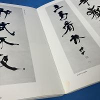 張裕釗・宮島詠士師弟書法展覧図録