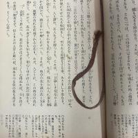 風姿花伝