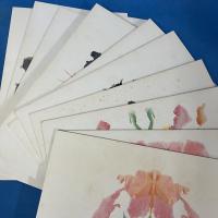 ロールシャッハ・テスト 図版 PSYCHODIAGNOSTIK PSYCHODIAGNOSTICS Tafeln-Plates