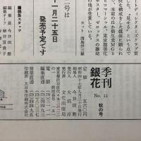 季刊銀花 1972秋 第11号 川上澄生ある夢想家の遊び 益子の窯
