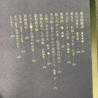 季刊銀花 1973年夏 第14号 漆 裂れの命