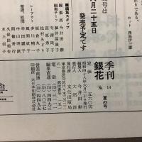 季刊銀花 1973年夏 第14号 漆 裂れの命