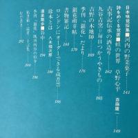 季刊銀花 1974年冬 第20号 日本の風土 若狭 らんぷの美