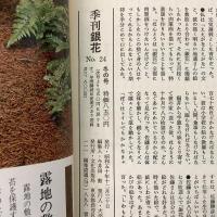 季刊銀花 1975年冬 第24号 佐藤勝彦 現代仏道人生 しきたりの中の美