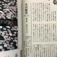 季刊銀花 1976年春 第25号 日本のうつわ 江戸の本