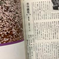 季刊銀花 1977年春 第29号 小絵馬 日本人の祈りの絵 紅花染