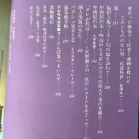 季刊銀花 1977年夏 第30号 ガラス絵 懐かしの東京の木地玩具