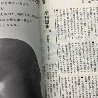 季刊銀花 1977年秋 第31号 曼荼羅 松崎脩己とその息子たちの仕事