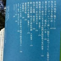 季刊銀花 1979年夏 第38号 絞り 金太郎土人形と張り子のお伽噺