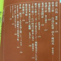 季刊銀花 1980年春 第41号 京劇錦繍華苑 火炎浄土