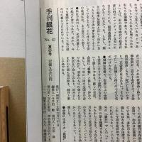 季刊銀花 1980年夏 第42号 国産絣縦横奇譚　辻まことの世界