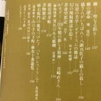 季刊銀花 1980年秋 第43号 扇賛華 扇の用と美 仙仙喜遊彩譜 絵師梶山俊夫
